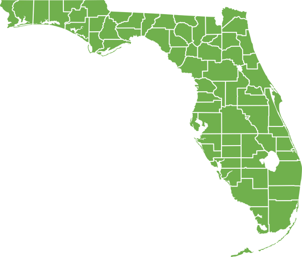 Black rat range in Florida