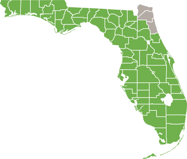 Spotted Skunk Florida Range