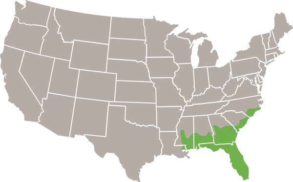 eastern diamondback rattlesnake USA Range Map