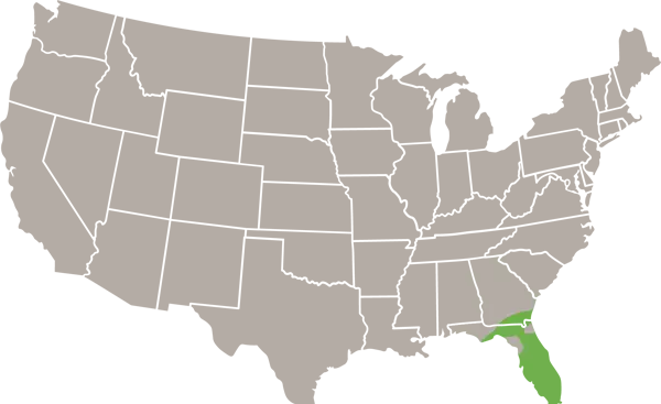 round-tailed muskrat USA range transparant