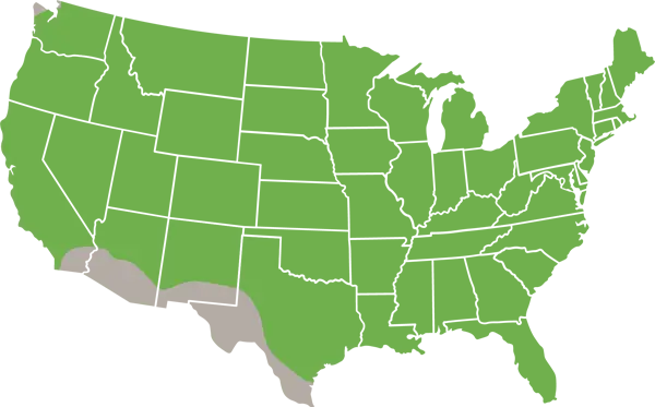 Black Rat range in the United States