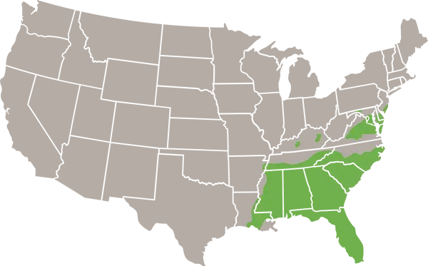Corn Snake USA Range Map