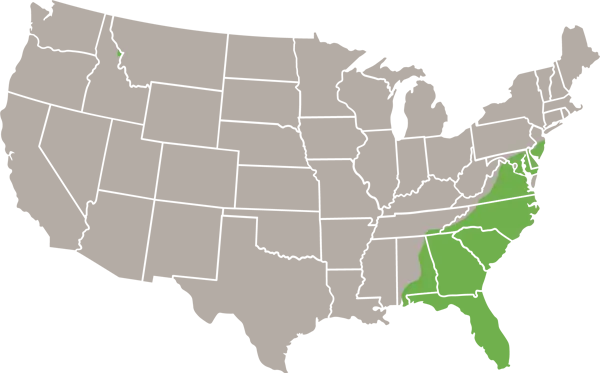 Eastern Kingsnake US Range Map