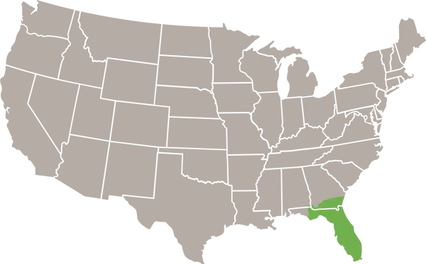 Florida Brownsnake United States Range Map