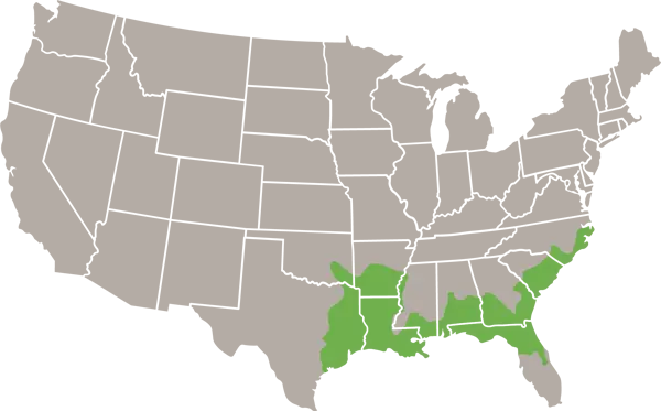 Glossy Swampsnake USA Range Map
