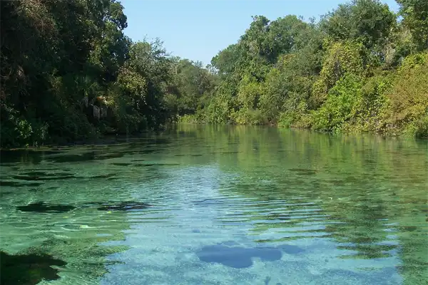 Hernando County Wildlife Removal San Clemente pier is one of many places we offer our Orange County Wildlife Removal Services