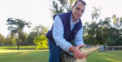 One of our techs removing a gator, with our premiere Windermere Wildlife Removal Program