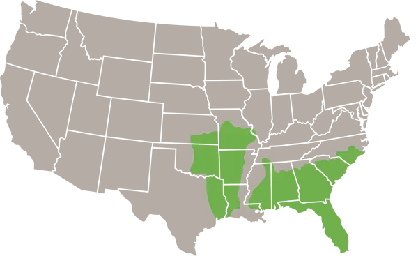 The Eastern Coachwhip USA Range Map