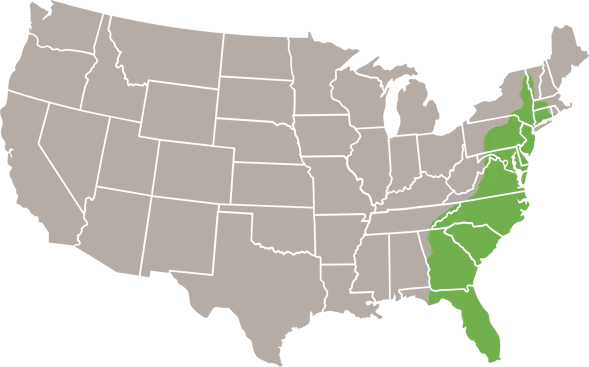 The Eastern Ratsnake USA Range map