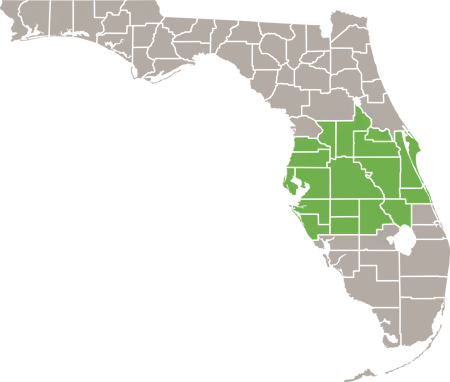 The Florida Service Area Map